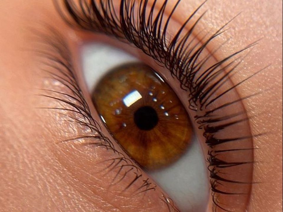 Cejas y pestañas en Trisquel